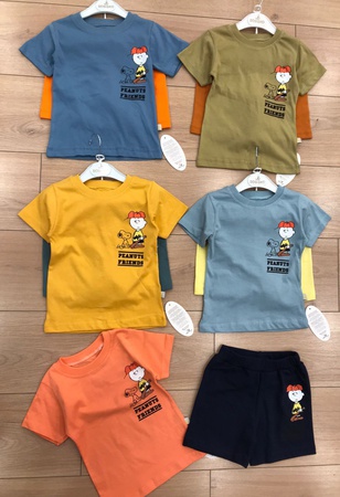 Шорты и футболка