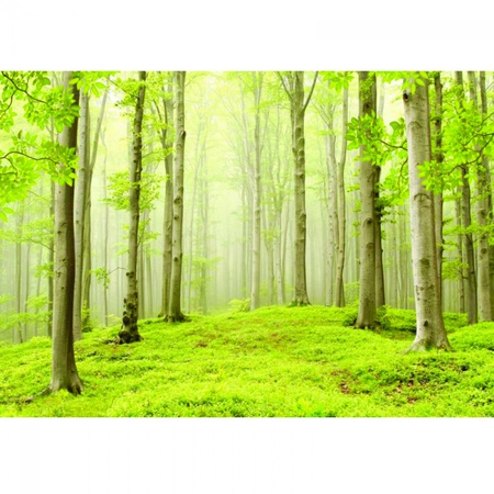 Весенний лес/9 листов