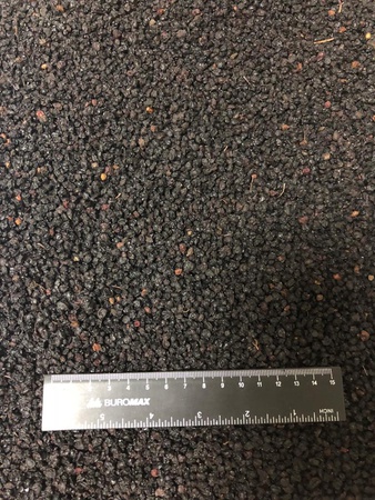 Плоды бузины черной (сушеные)