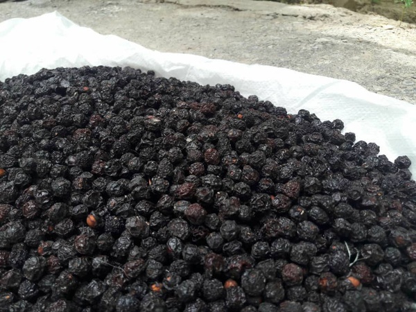 Сухофрукты и орехи