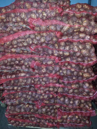 wholesale potatoes 5