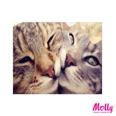 Картина по номерам Кошачья любовь