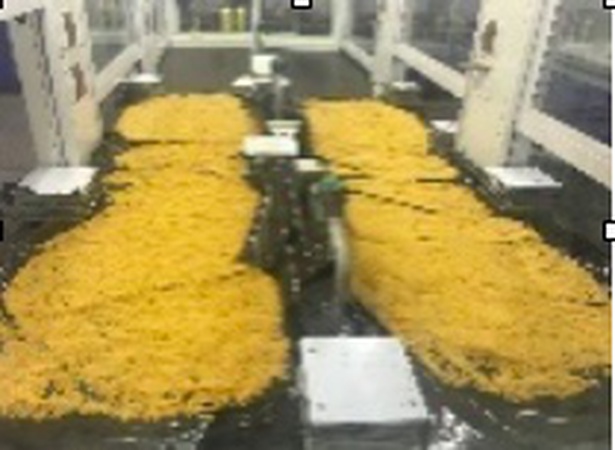 1-fluoro-2-(2-nitroprop-1-enyl)benzene