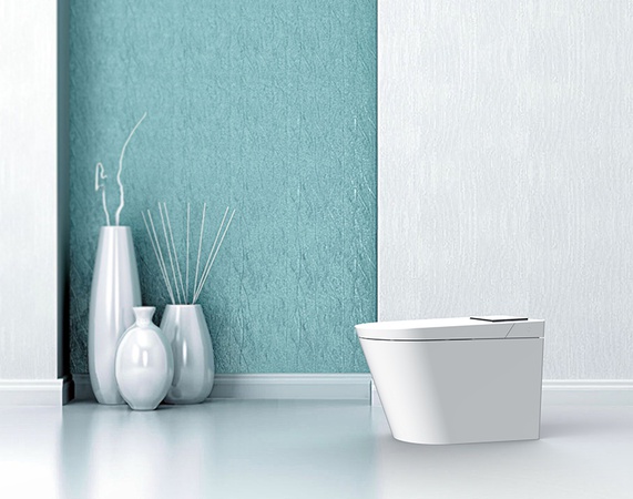 Wall Mounted Smart Bidet Toilet
