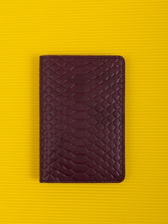 Обложка на паспорт ПТ-51