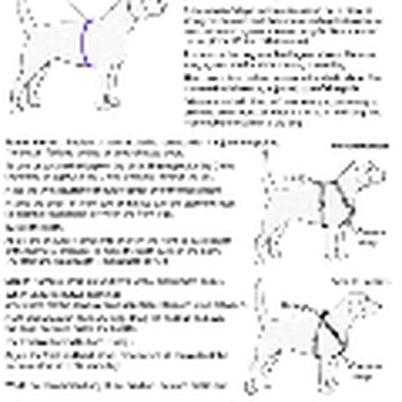 Синяя шлейка для собак 12-18 Step In