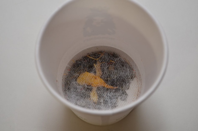 Premium tea in a disposable glass