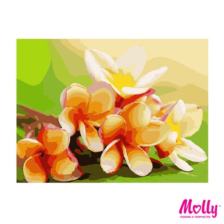 Картина по номерам Яблоневый цвет