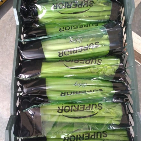 Фрукты и овощи