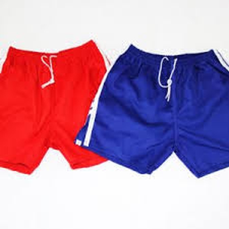 Шорты для самбо
