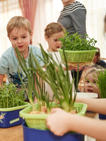 Космогрядка – проращиватель для детей (игровой набор).