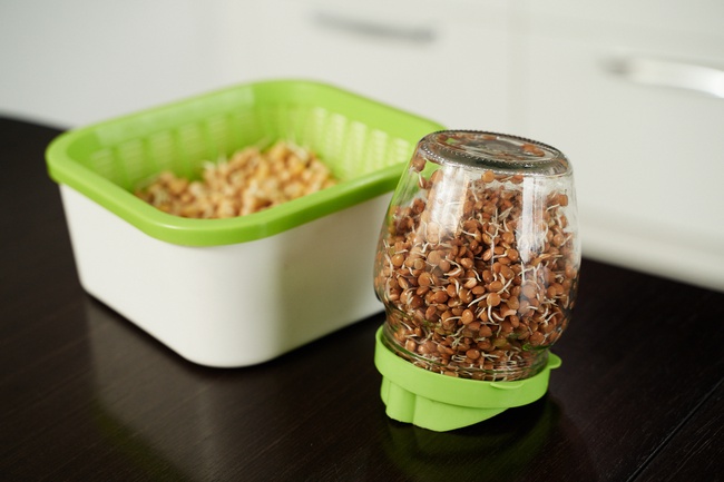 Проращиватель «Здоровья КЛАД» (Крышка-сито)