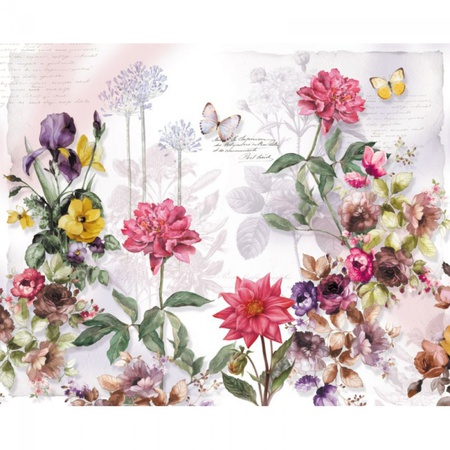 植物区系\ 3条纹