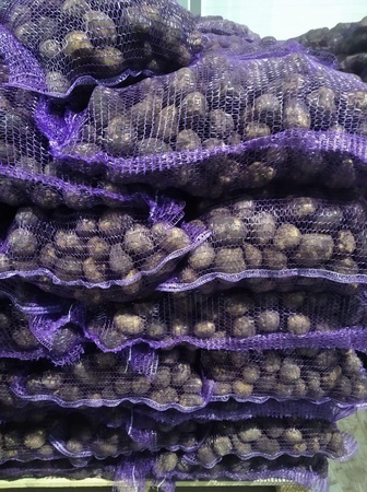 Wholesale of potatoes
