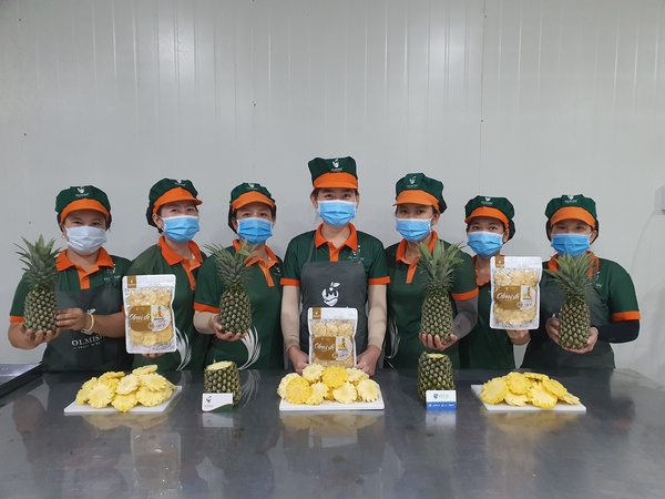 Kurutulmuş Ananas. OLMISH fabrikalarından kurutulmuş meyveler