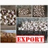 Marketable garlic
