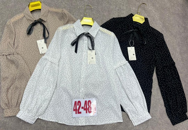 Жекские блузки