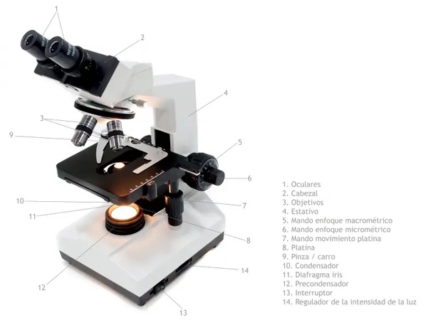 Профессиональный бинокулярный микроскоп. Ахроматический