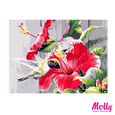 Numaraya göre boya Hibiscus