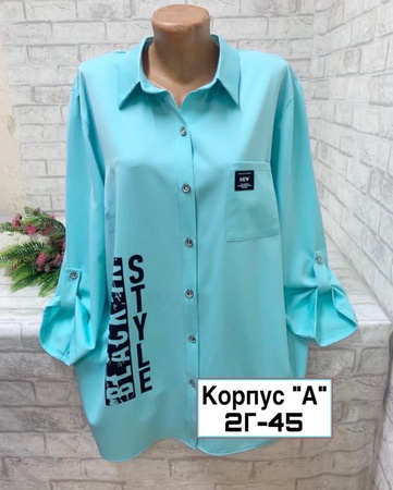Stylish women's blouse