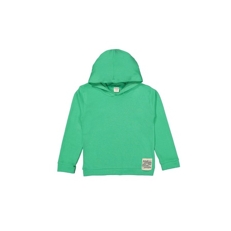 Toptan Erkek Kapşonlu 2-5Y