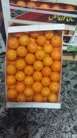 اليوسفي بالجملة