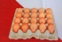 Chicken egg C-2 wholesale