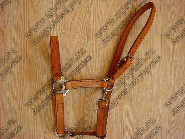 Leather halter with carabiner