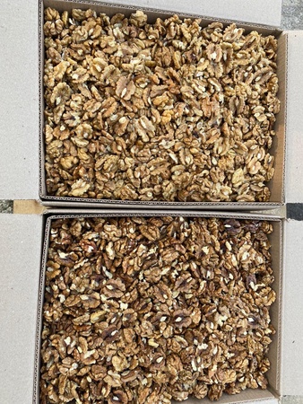 Грецкий орех бабочка (1/2)