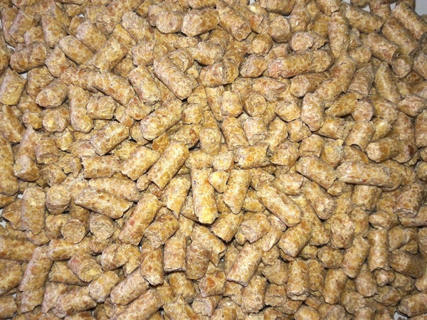 Шрот соевый протеин на АСВ 51% - 530 USD/тн Шрот подсолнечный протеин на АСВ 38% - 237 USD/тн.