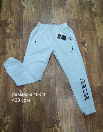 Мужские спортивные штаны. Трико