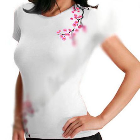 Embroidery machine AURORA CTF1201