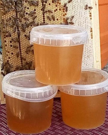 Honey from Kyrgyzstan Toktogul mountain, floral