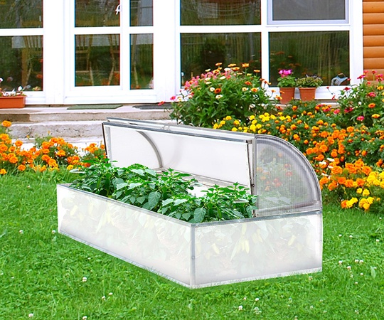 Greenhouse made of polycarbonate &quot;Lotus&quot;