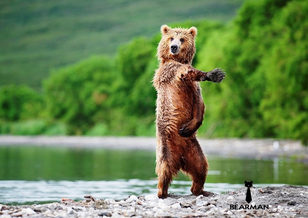 Oyuncak toptan ayılar. Toptan peluş oyuncaklar. Tüm modellerin her boyutunda + geliştirilmesinde mevcuttur.