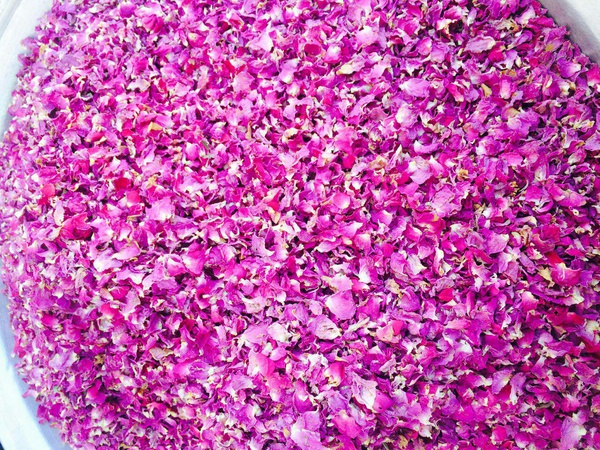 Toptan: Gül Tomurcukları ve Yaprakları