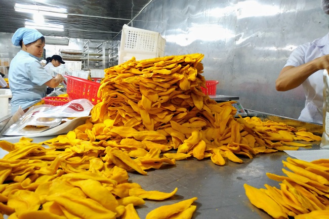 Mango wholesale from Vietnam