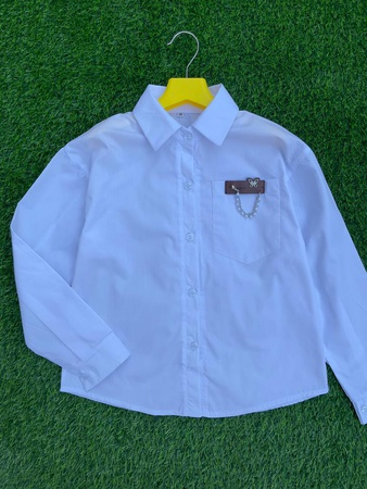 Школьные блузки