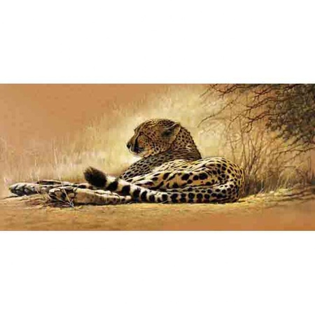 Гепард/6 листов