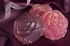 Seifenblumen Rose