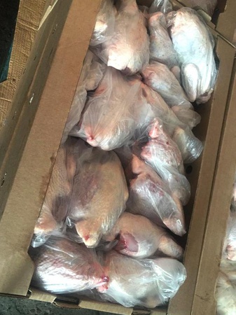 МЯСО КУР-НЕСУШЕК (ТУШКИ)