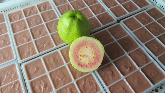 Замороженная Гуава. Экзотические фрукты с заводов OLMISH