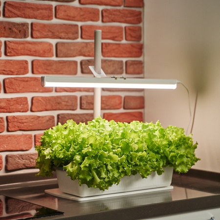 Домашняя Установка  «Чудо_грядка Здоровья КЛАД"