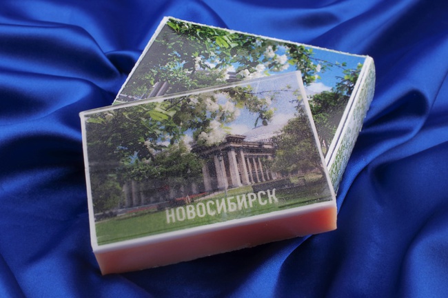 Новосибирск в яблонях