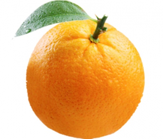 Meyve sebze Zeytinyağı