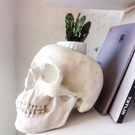 гипсовый череп