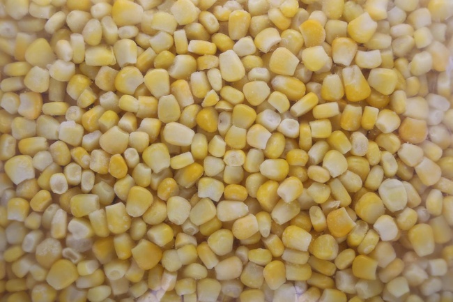 dondurulmuş tatlı mısır taneleri iqf