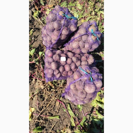 Trading House "Zorya Plus"