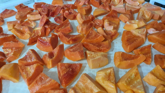 Папайя заморозка Оптом. Прямая поставка с завода