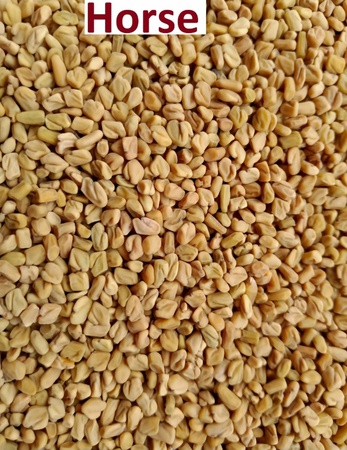 Other Essential Seasoning and Herbs by Shoushee